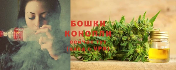 соль курить ск Богданович