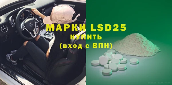 ECSTASY Алзамай