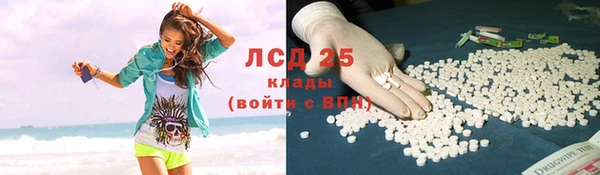 PSILOCYBIN Новокубанск