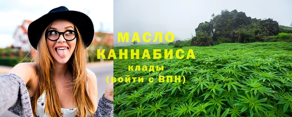 дмт Новодвинск