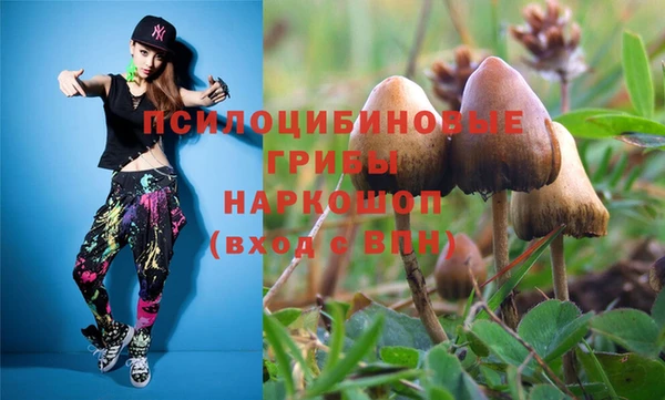 альфа пвп Новозыбков
