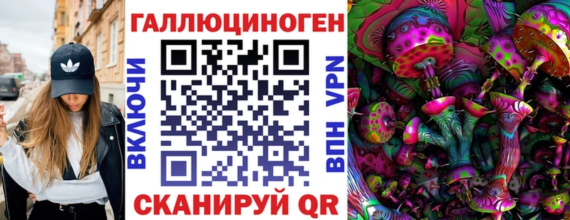 darknet какой сайт  Кировск  Псилоцибиновые грибы ЛСД  сколько стоит 