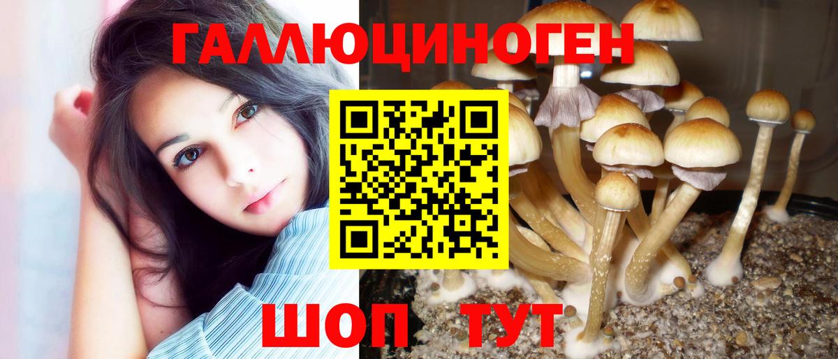 Галлюциногенные грибы Cubensis  Кировск 